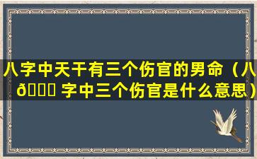 八字中天干有三个伤官的男命（八 🐈 字中三个伤官是什么意思）